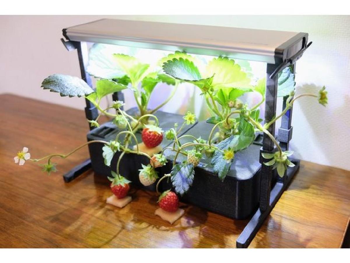 Plantarium (Sistema de iluminacao flexivel para plantas)