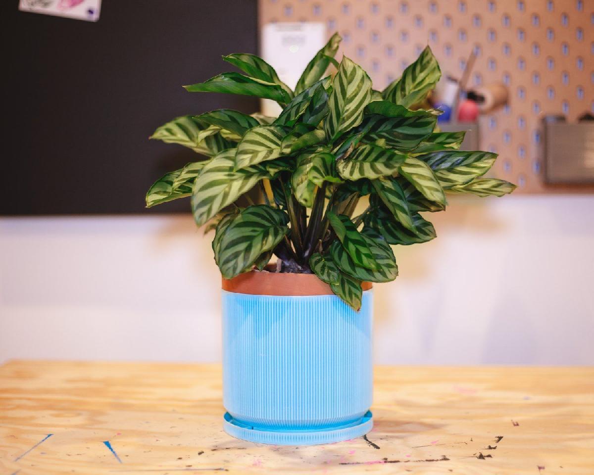 grande vaso totalmente impresso em modo vaso