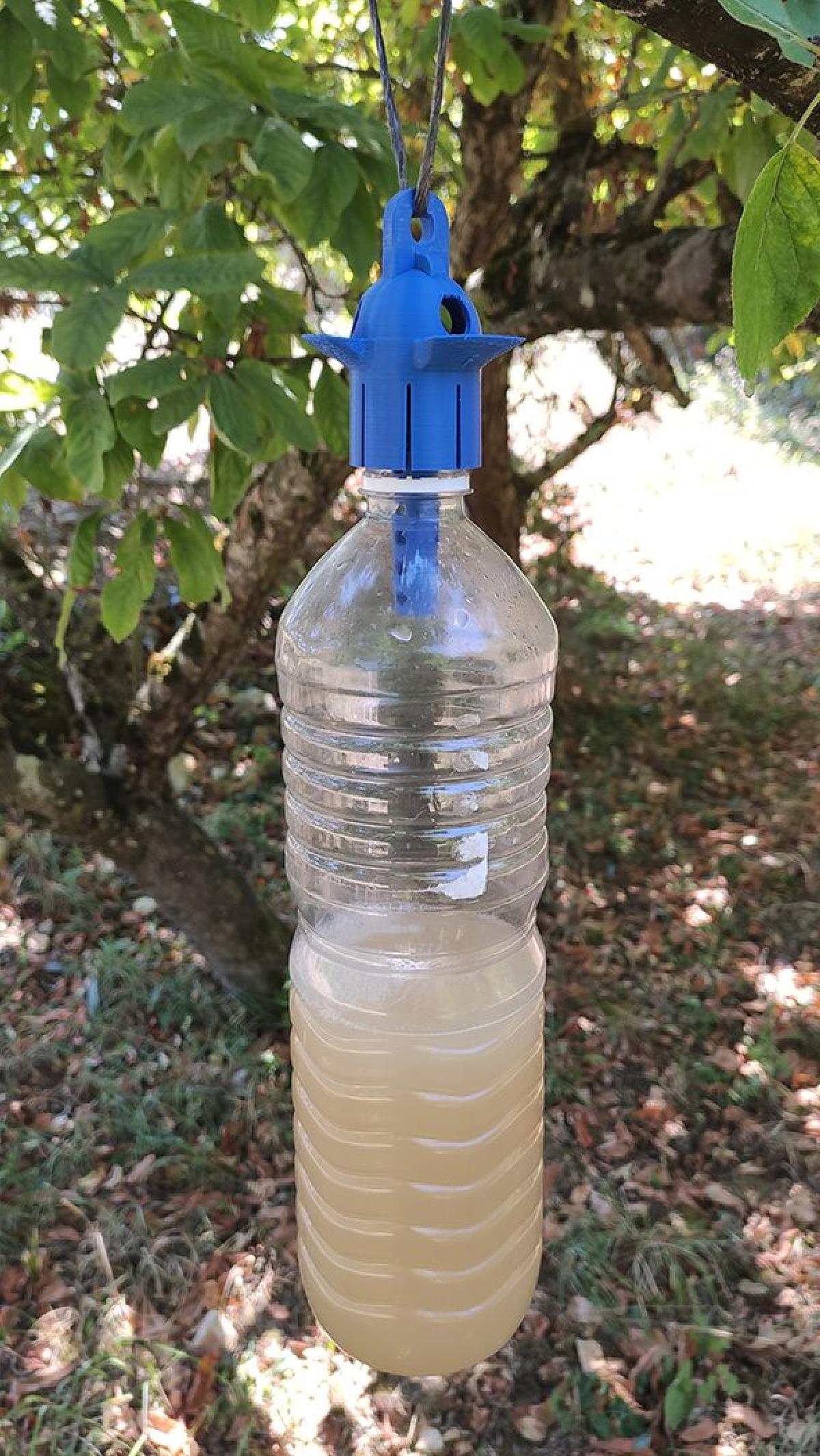 Armadilha de Garrafa Seletiva para Marimbondo Asiatico