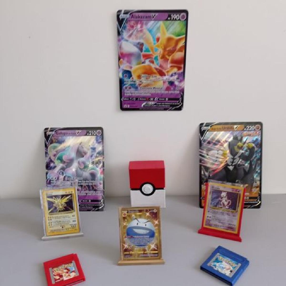 Porta cartoes de Pokemon