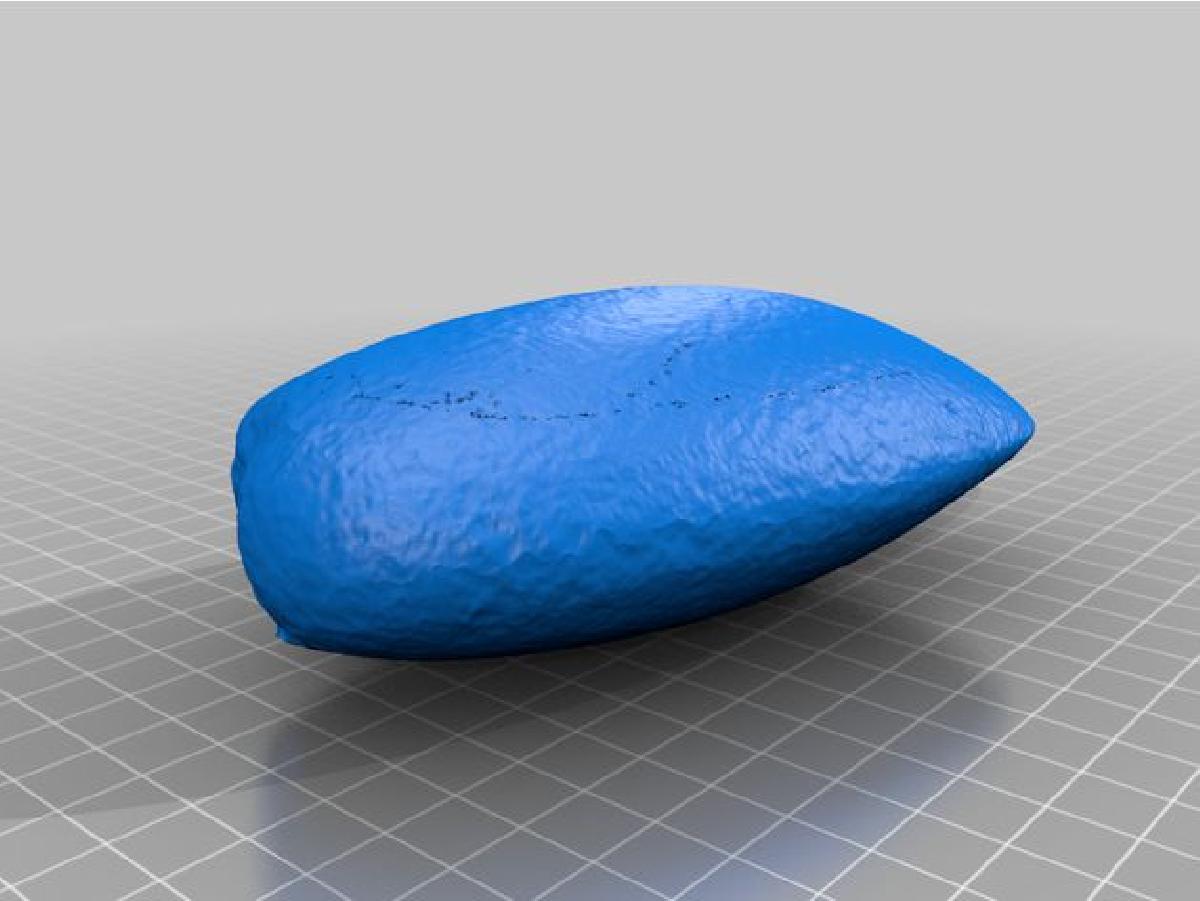 Lamina de Machadinha