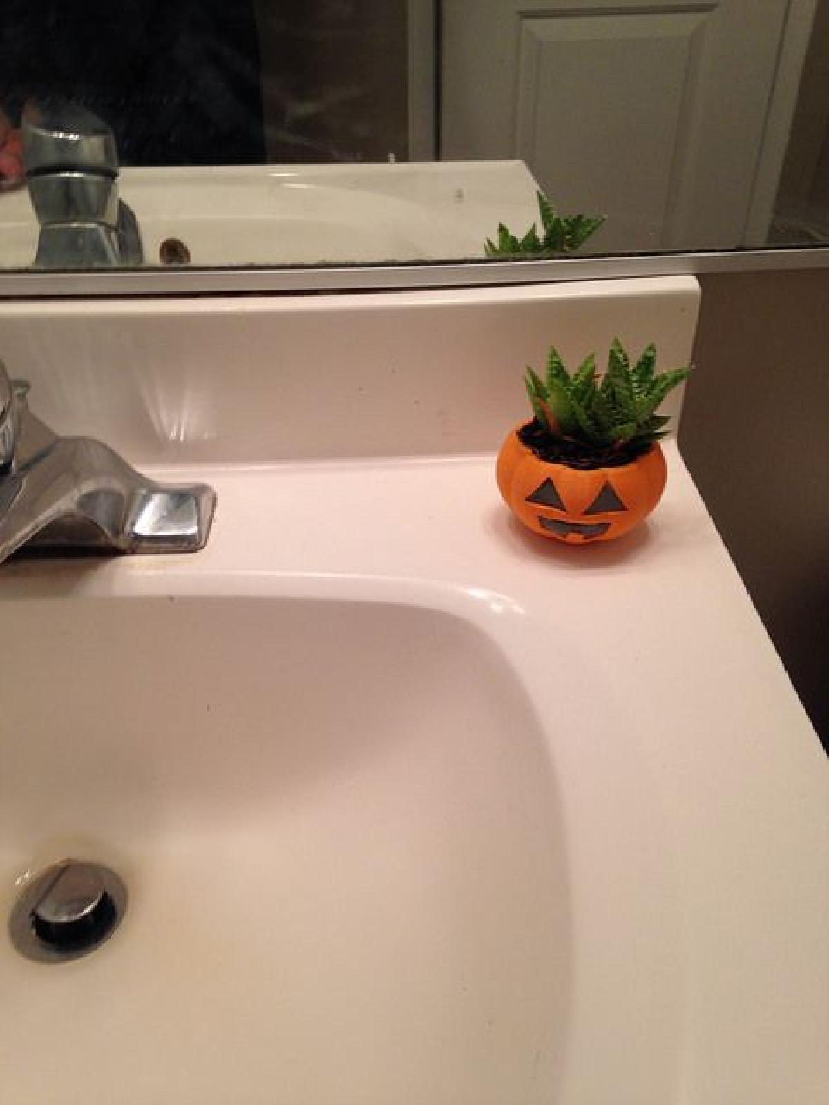 Vaso de Planta Mini Jack O’Lantern