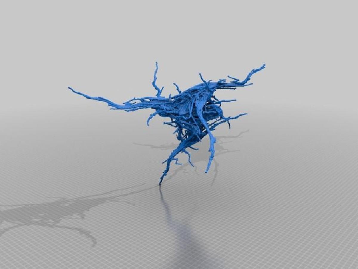 Neuron Fractal