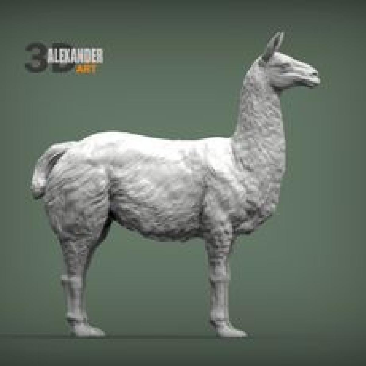 lama
