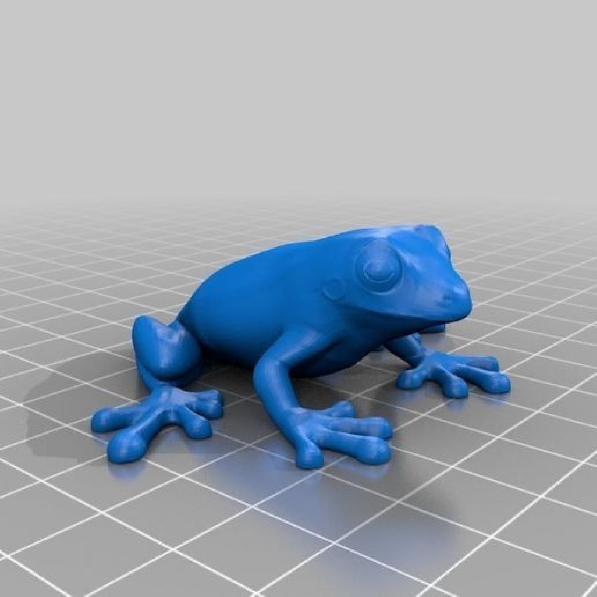 Dados 3D de sapo