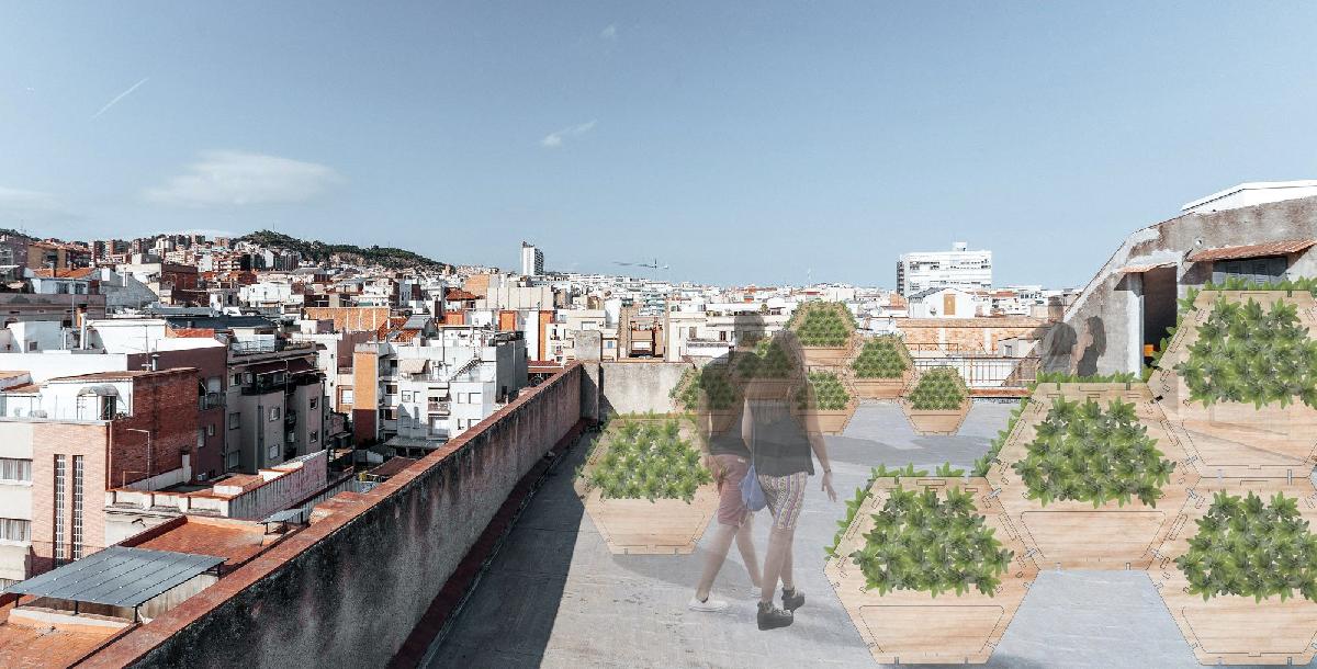 LABORATORIO VERDE