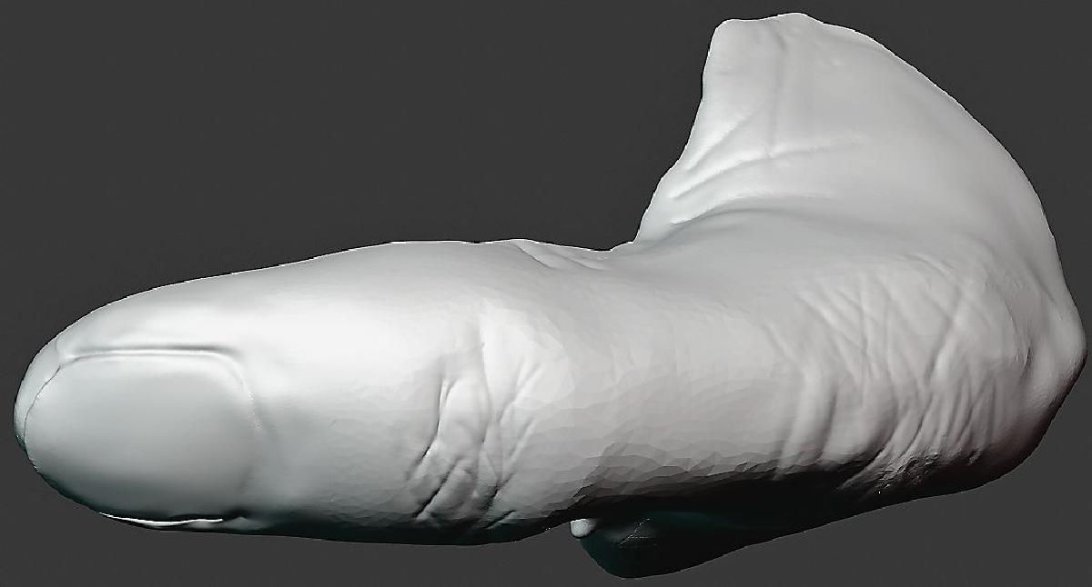 Protese Polegar Replica V0.1