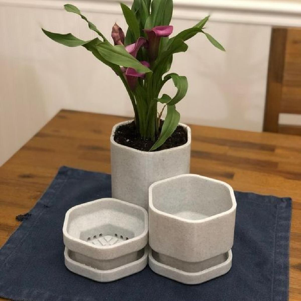 Mais um vaso de plantas (conjunto)