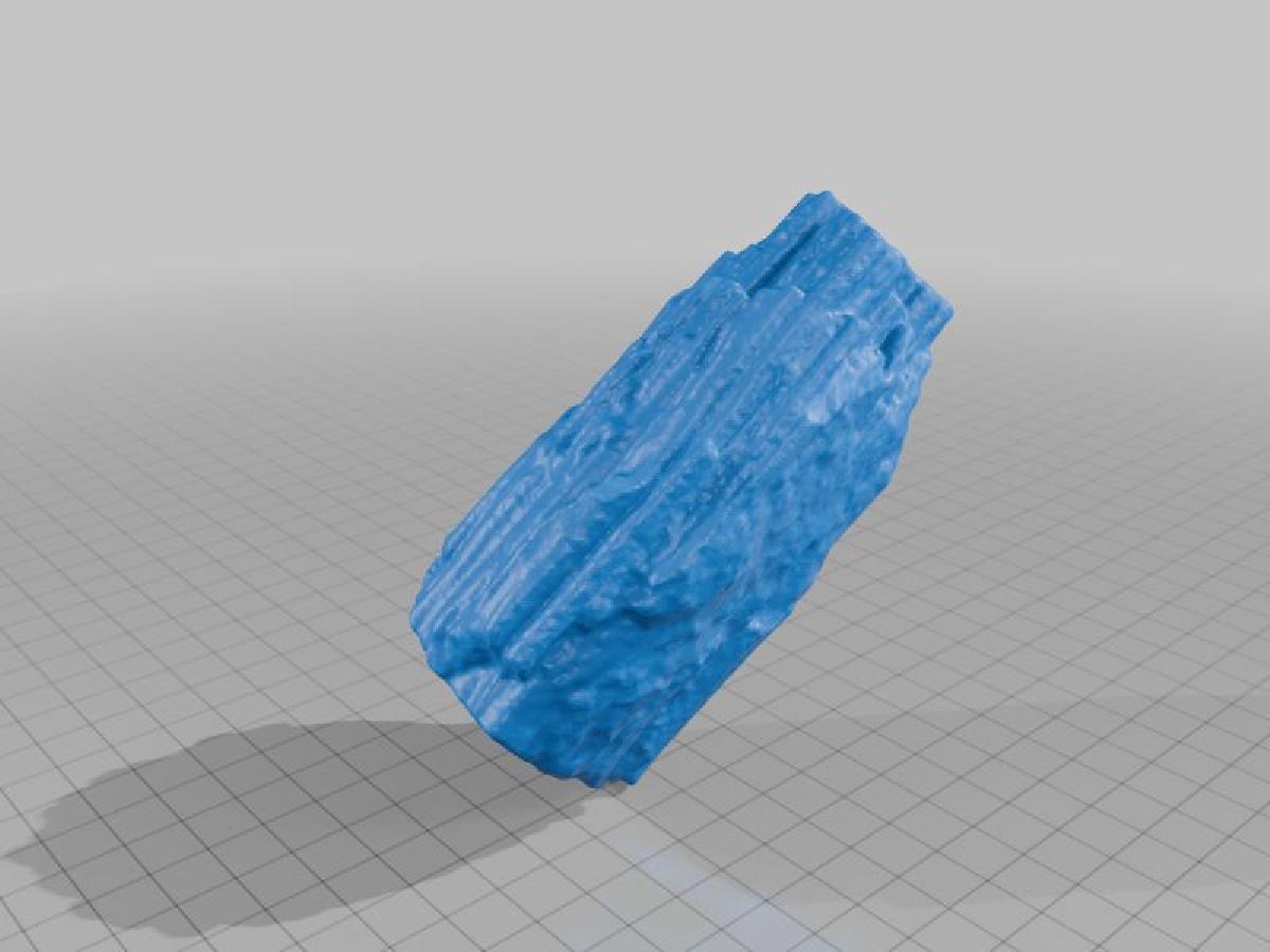 Fossil wood 0040