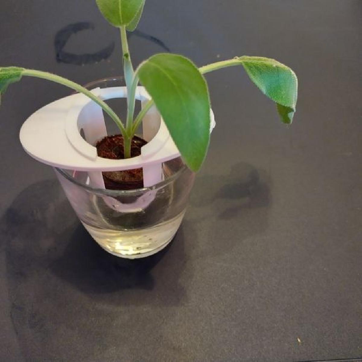 HyGrow Suporte para corte de plantas hidroponicas / sementes