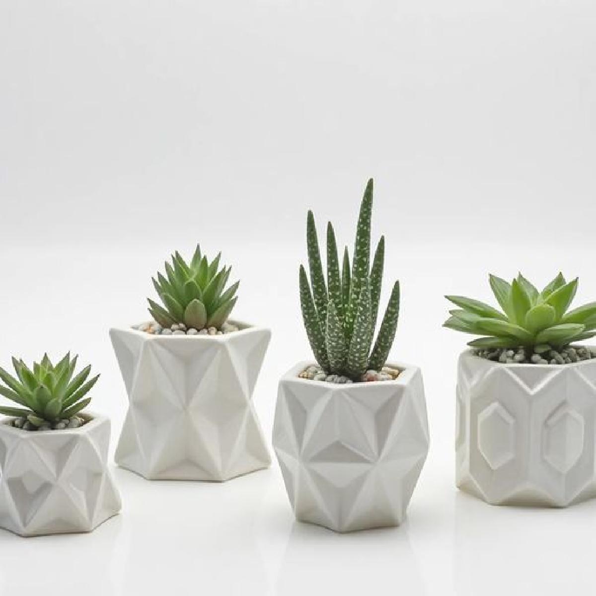 Vasos de Planta Miniatura com Padroes Geometricos