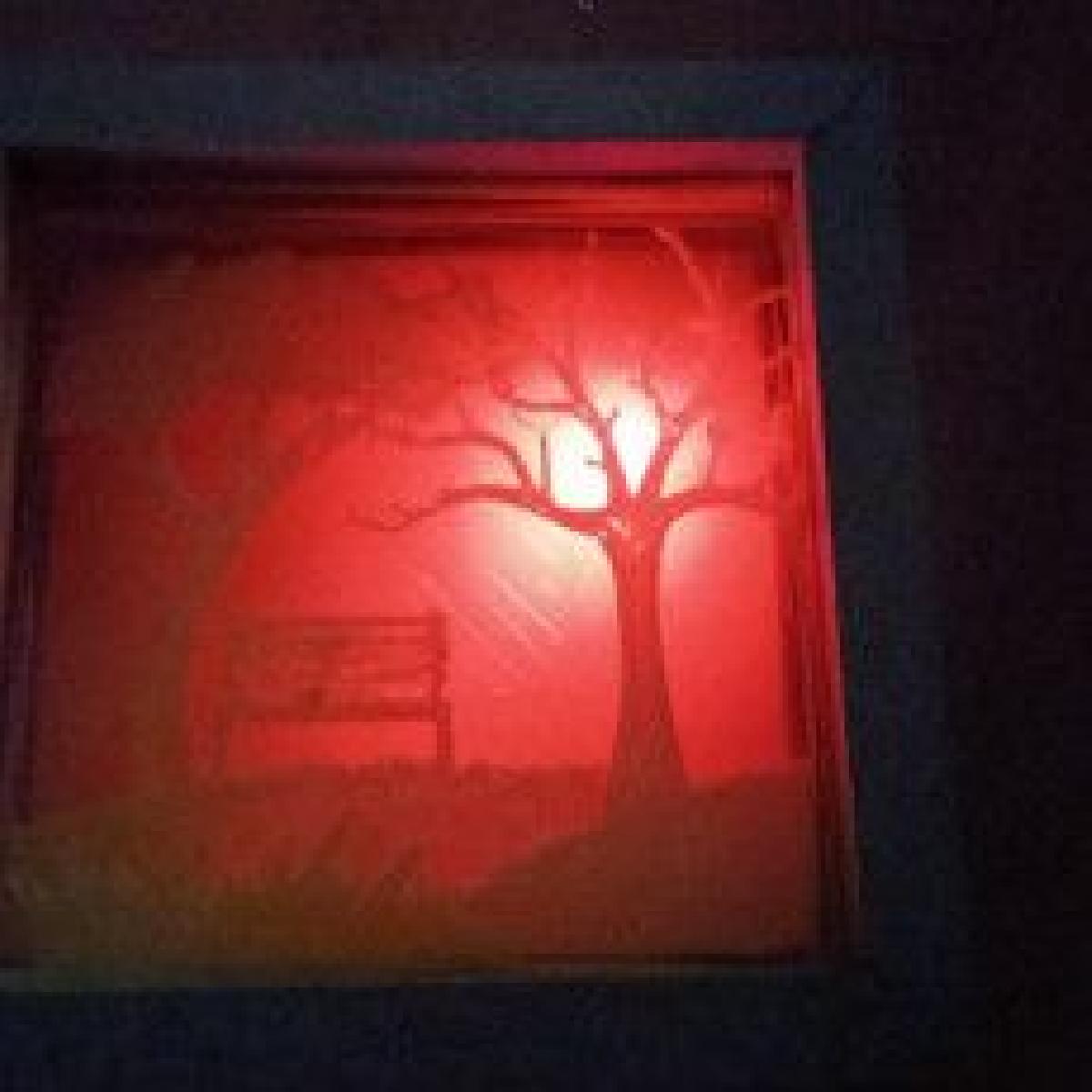 LIGHTBOX Banco com arvores