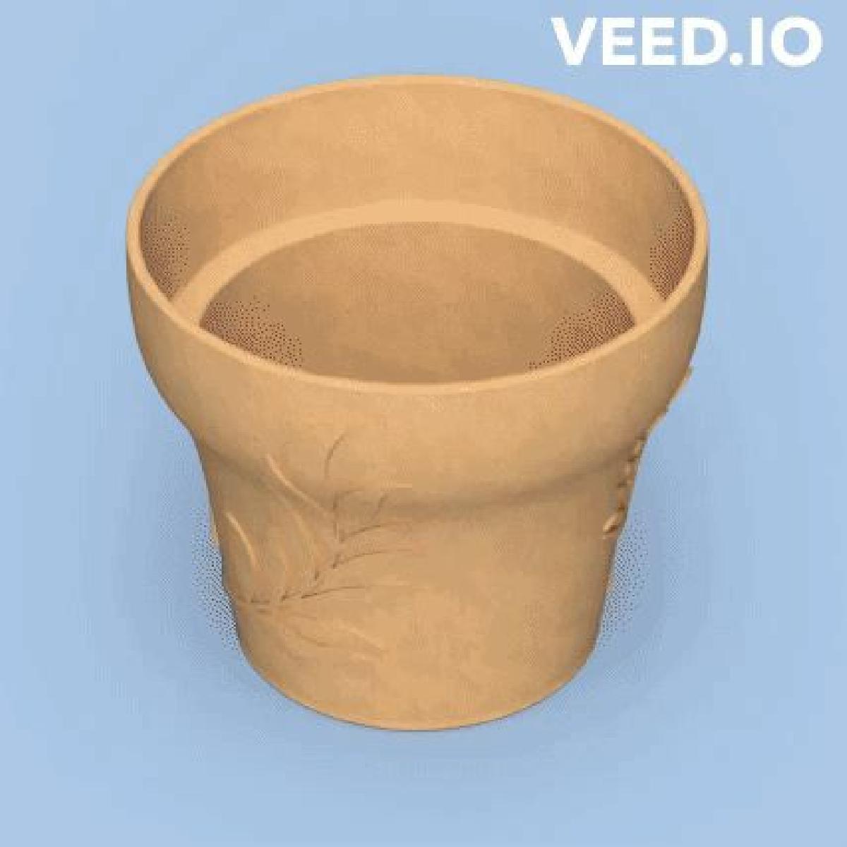 Vaso com ramo de oliveira decorativo