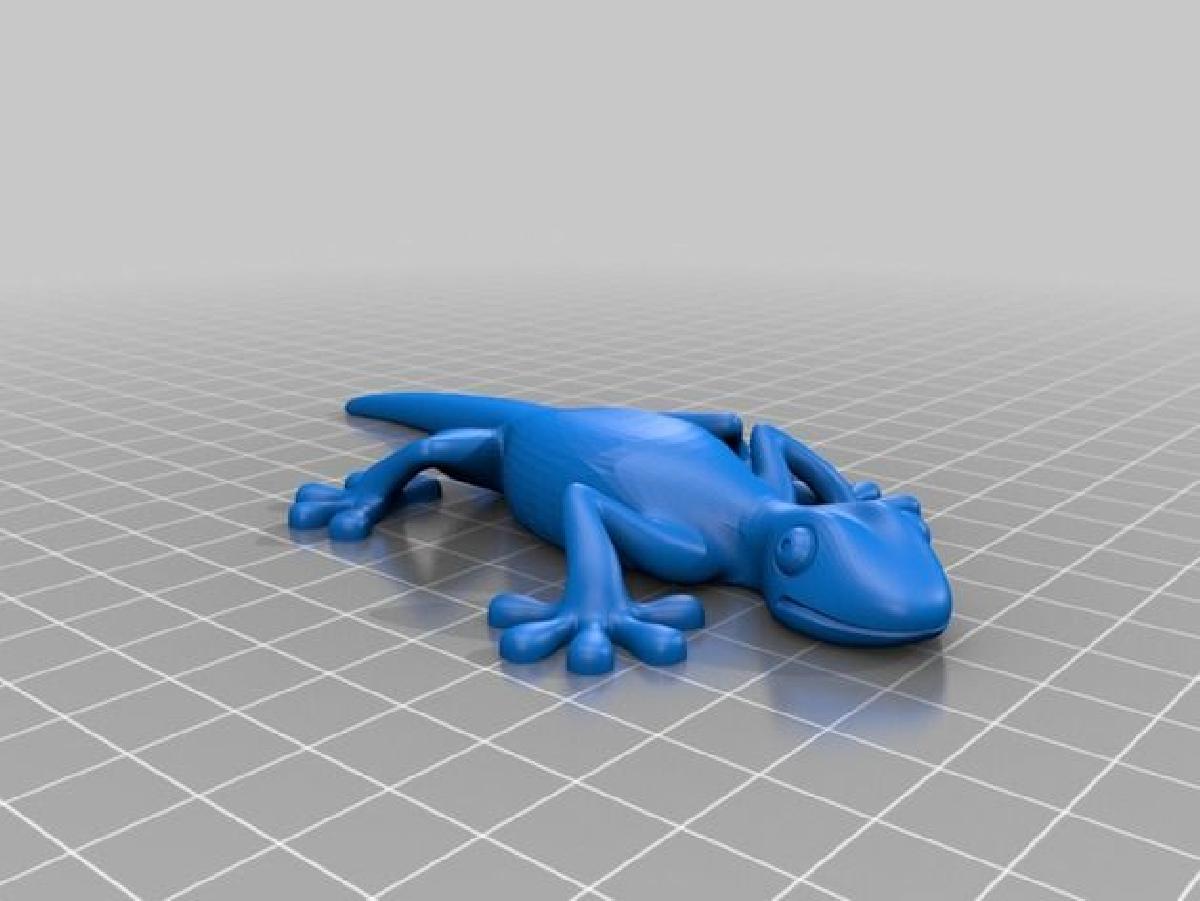 Gecko