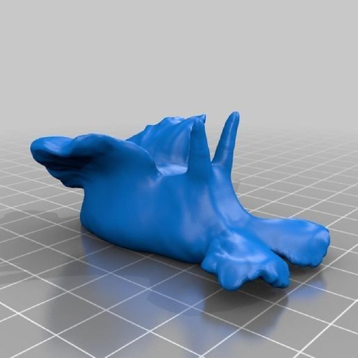 Dados 3D de Ameijoa (Anapsidea)