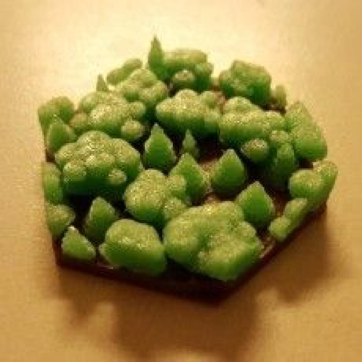 Arvores de Mesa (Hex)