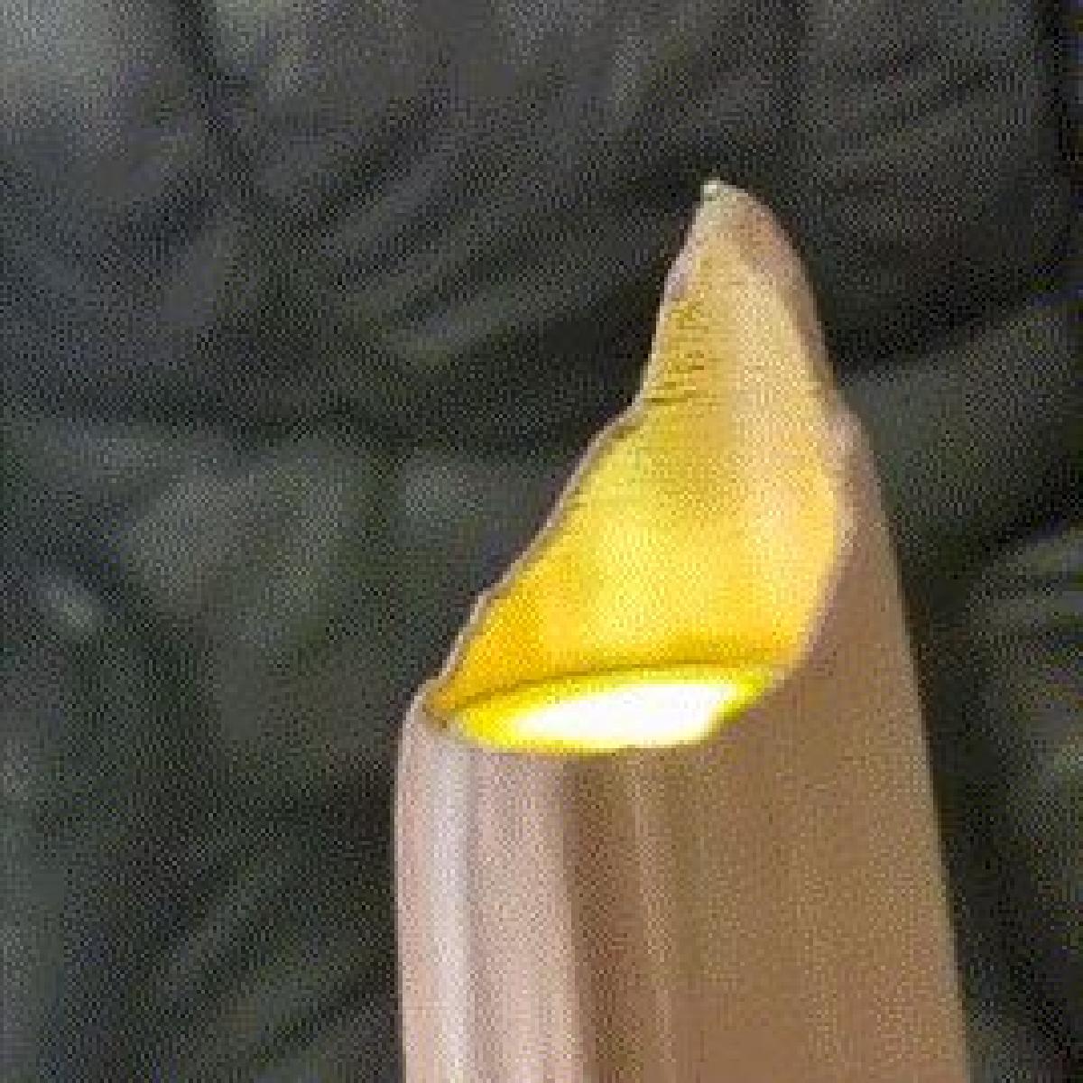 Acender sabre de madeira em colapso