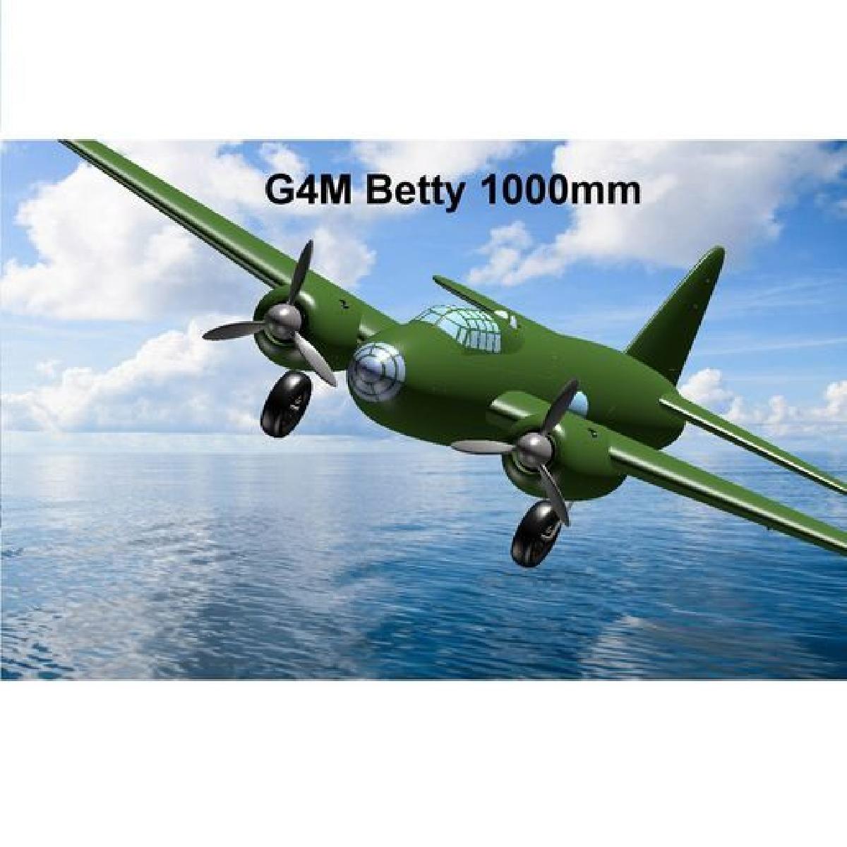 Arquivos de Teste Mitsubishi G4M "Betty" 1000mm