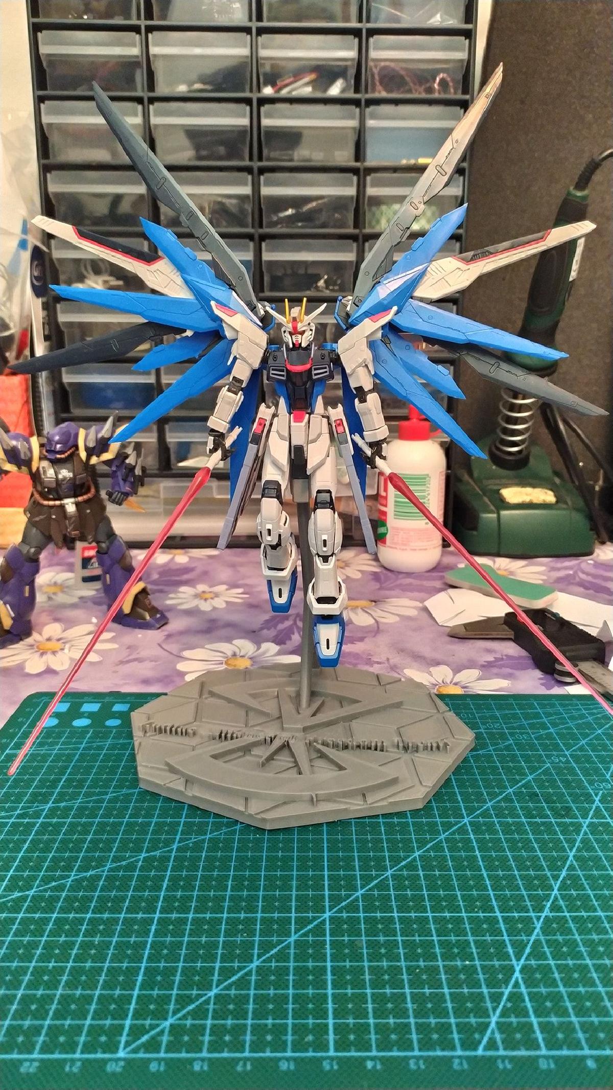 exibir gundam/gunpla HG/RG gundam da liberdade