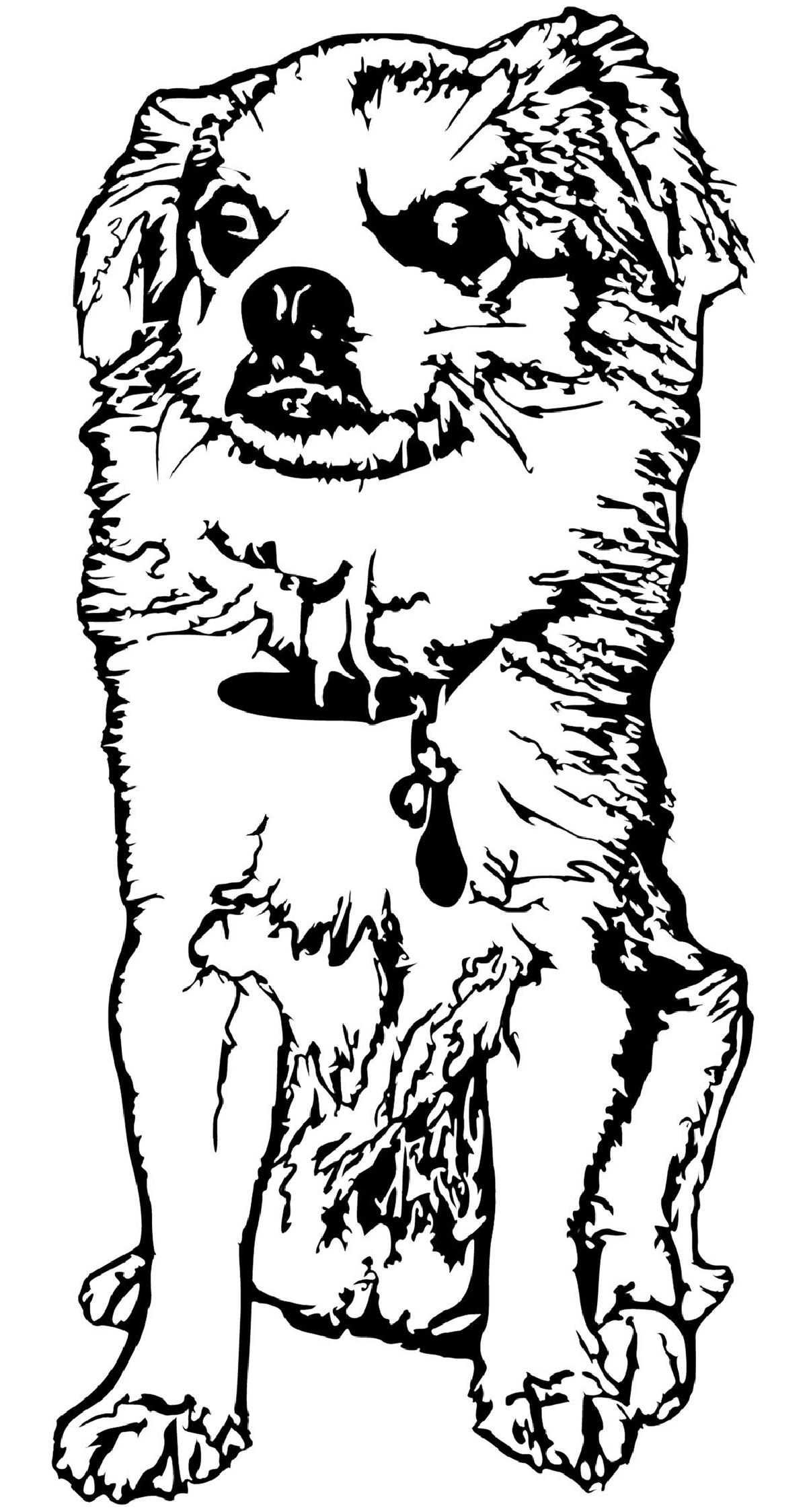 Meu cachorro Tonet em arte 2D para parede.