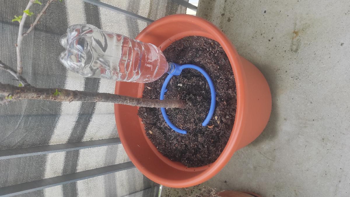 Irrigacao de plantas