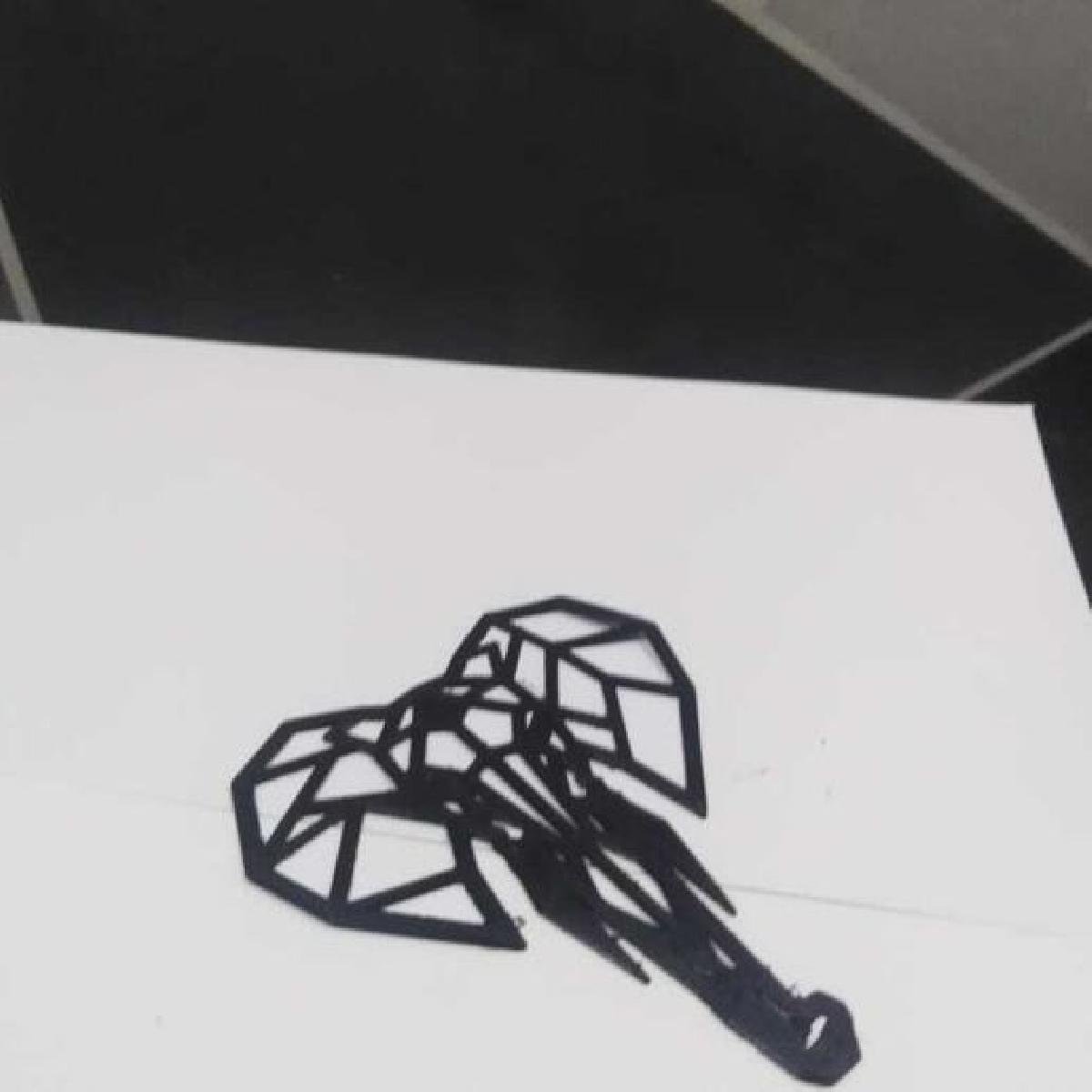 DECORACAO GEOMETRICA DE ELEFANTE