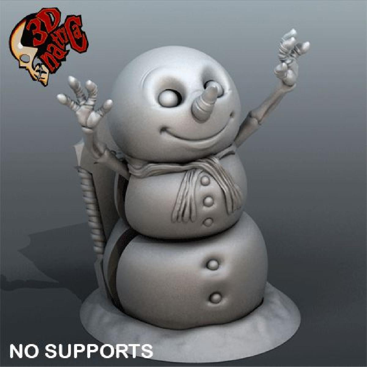 Boneco de Neve do Cemiterio Polar / sem suportes