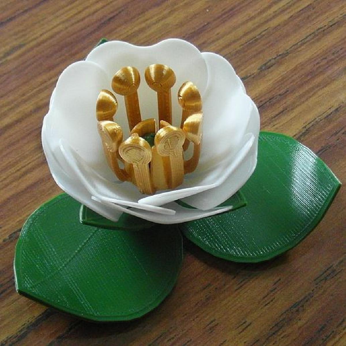 3D Rosa
