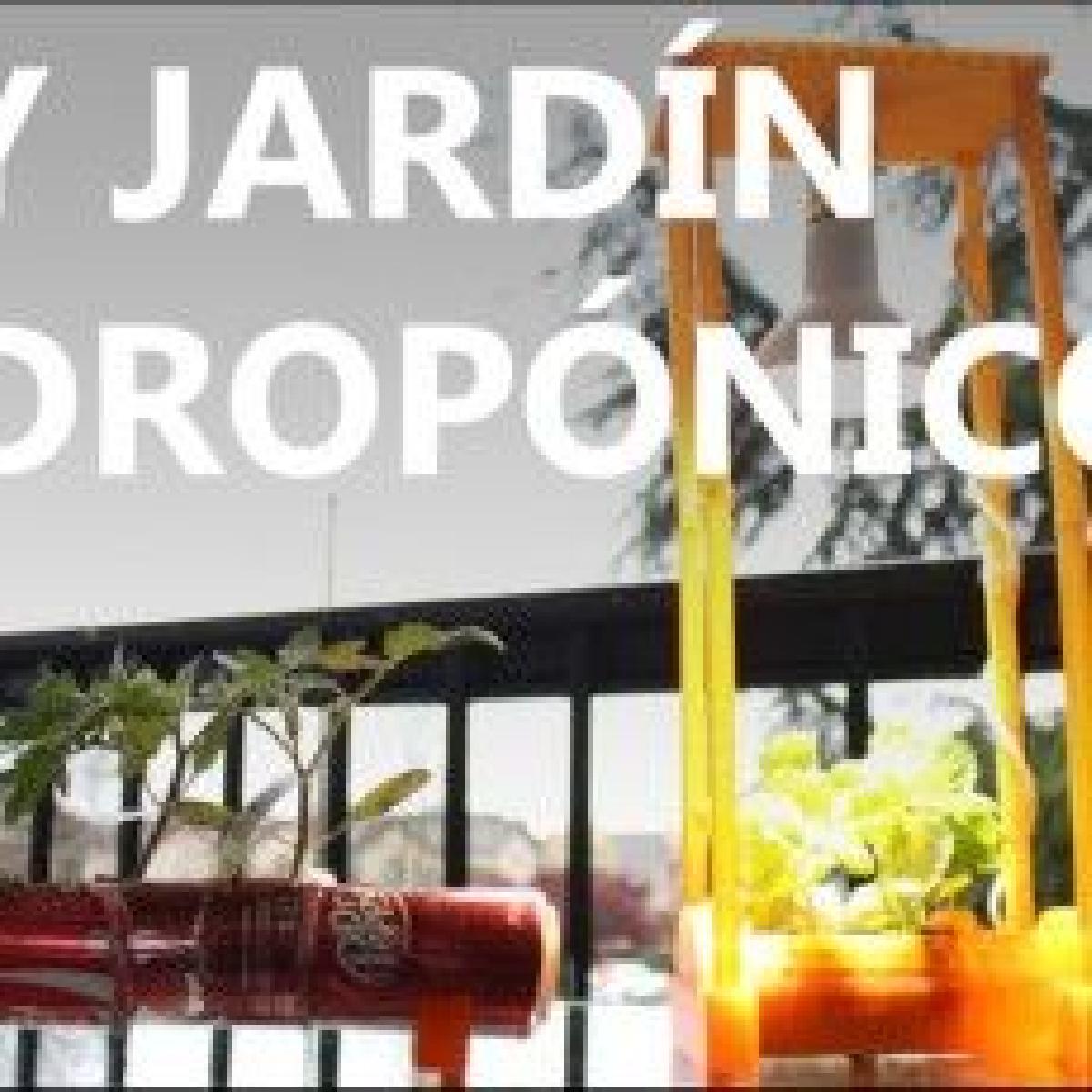 Jardim hidroponico por menos de 7 USD