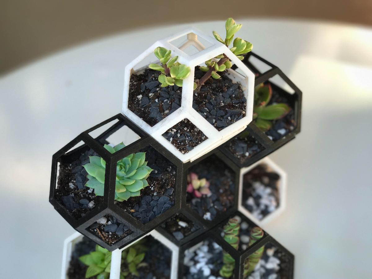 Plantygon   Plantadeira de empilhamento geometrica modular para suculentas