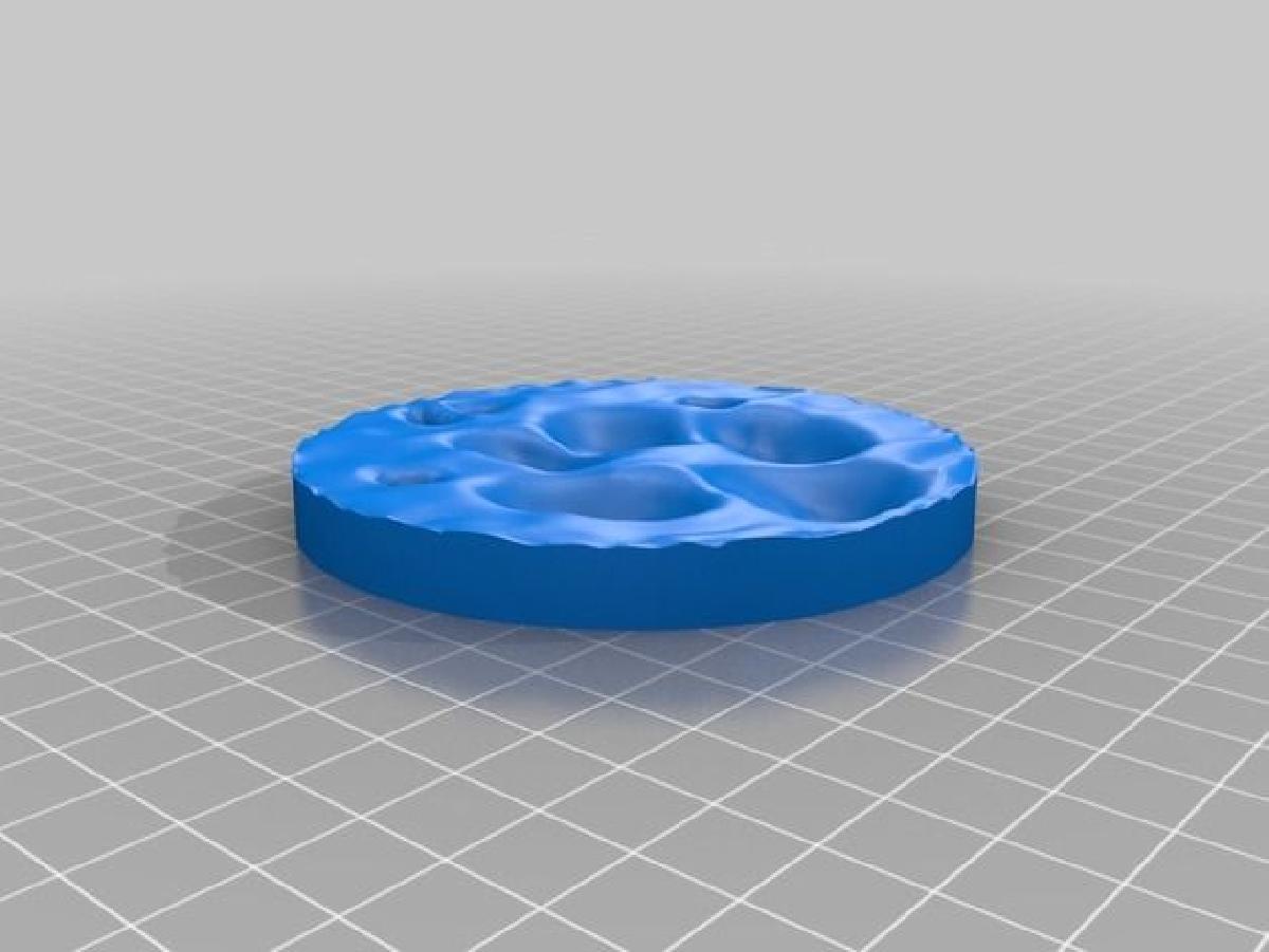 Pegada anterior do Lobo Guara (Chrysocyon brachyurus)