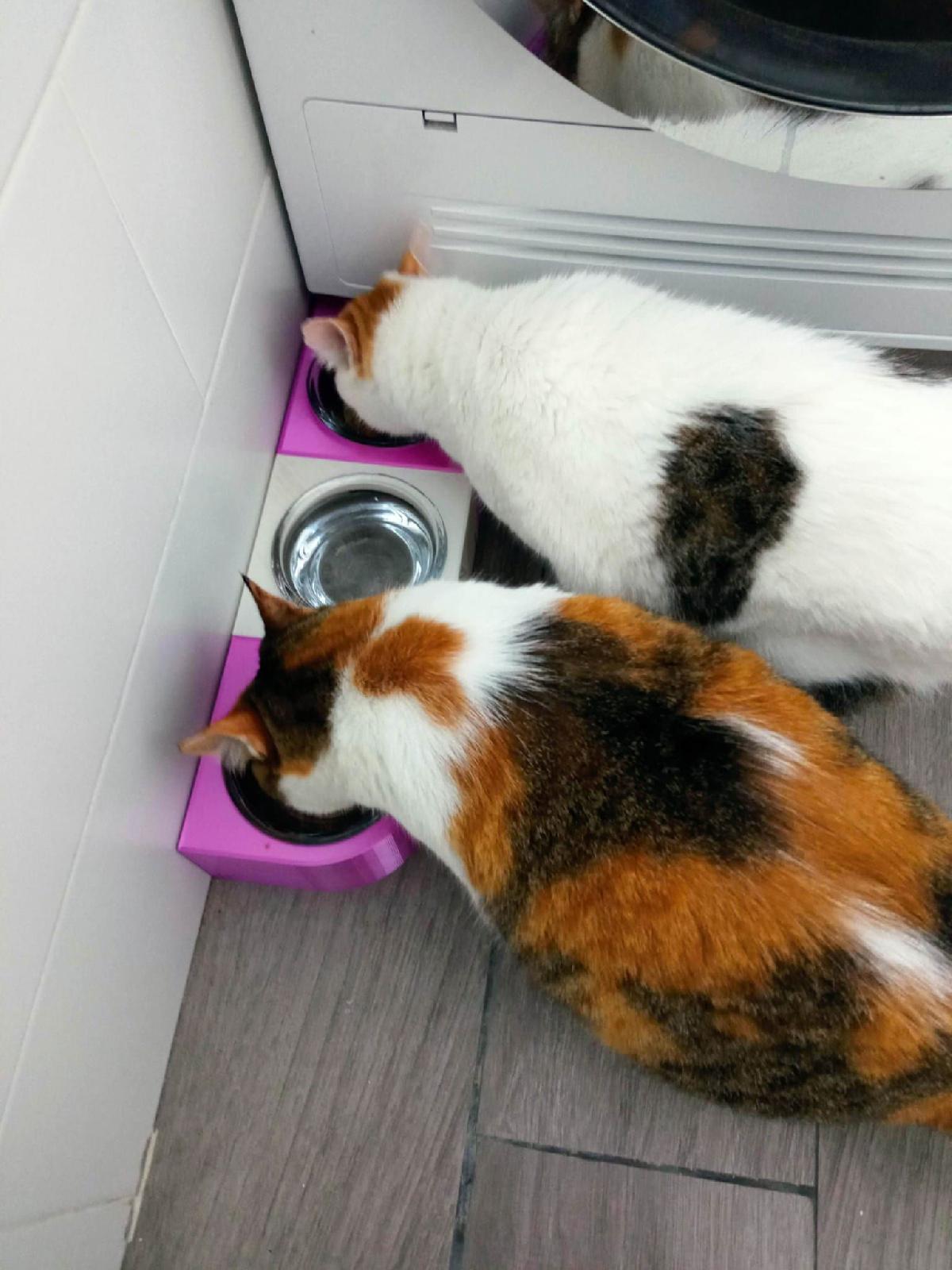Ikea vardagen comedero modular para gatos