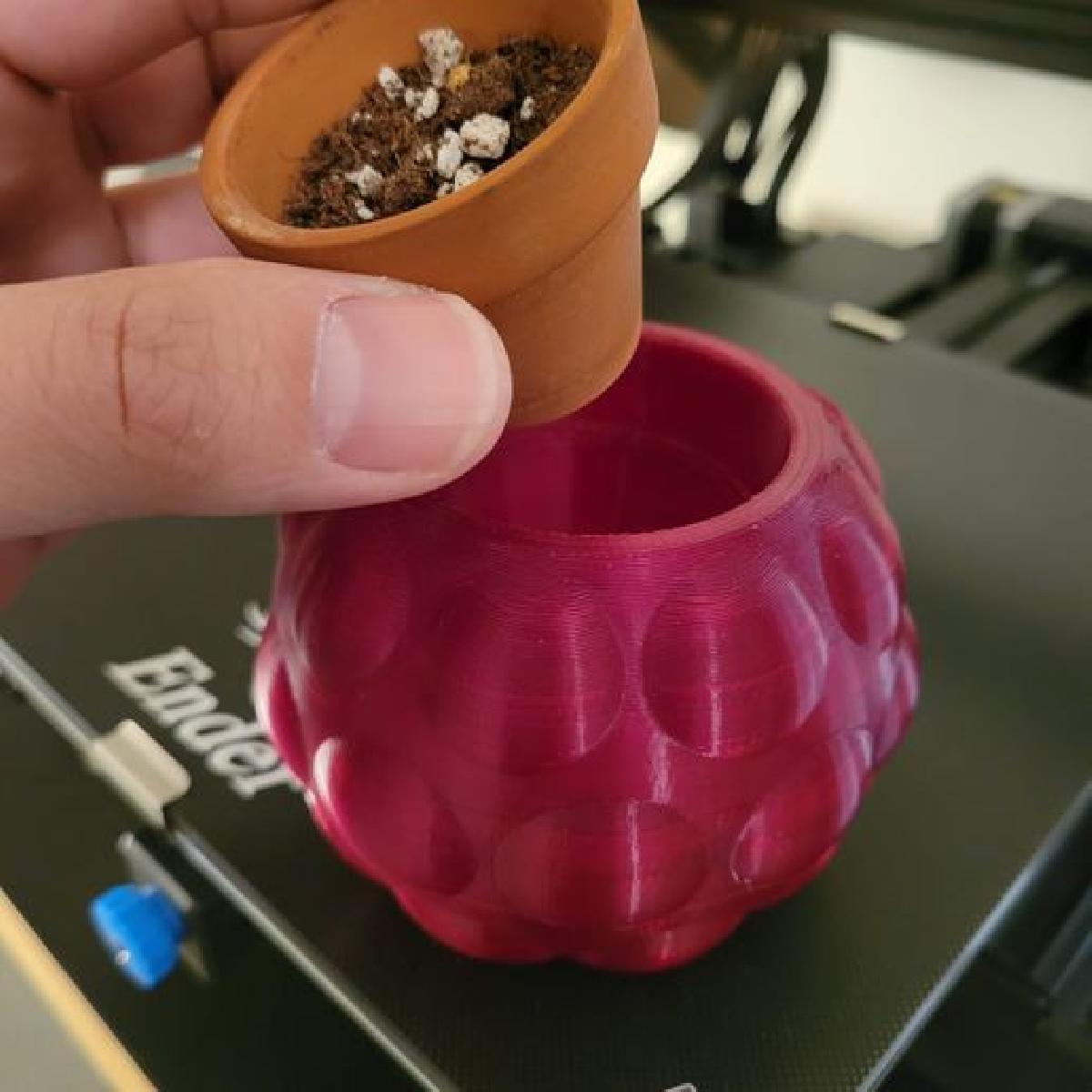 Case para Plantador Raspberry Pi Zero