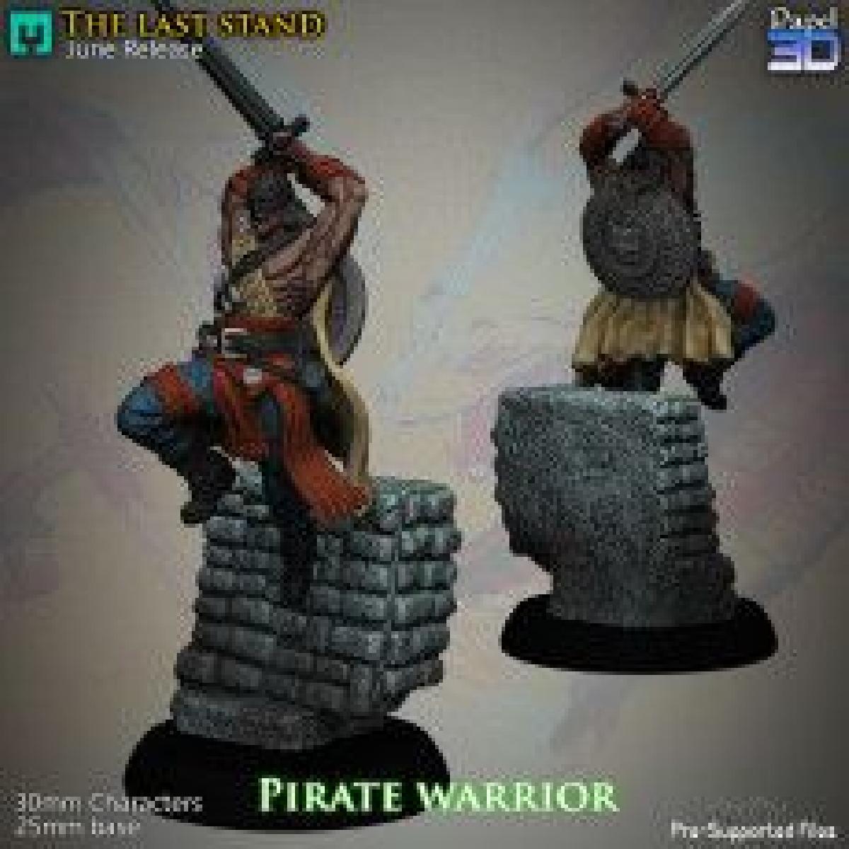 Guerreiro Pirata