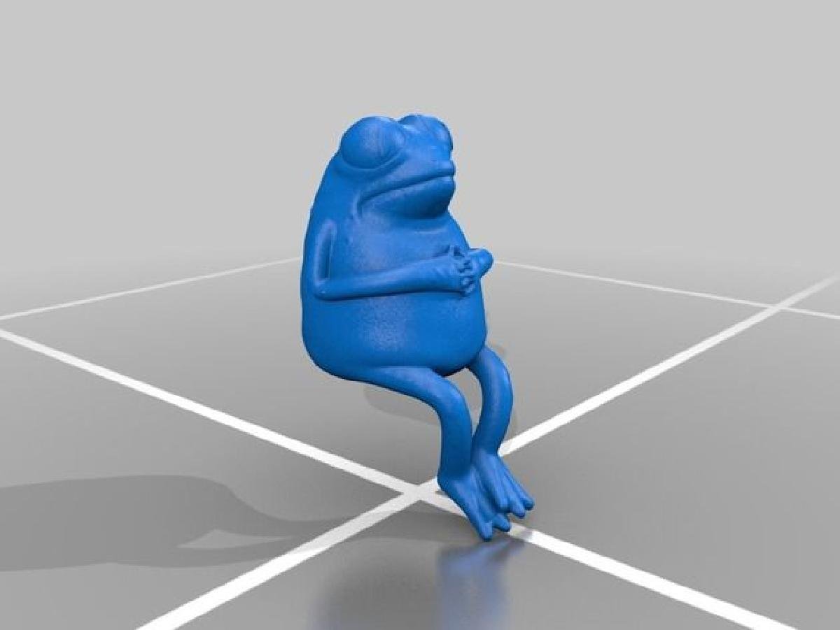 Sapo triste de quarta feira