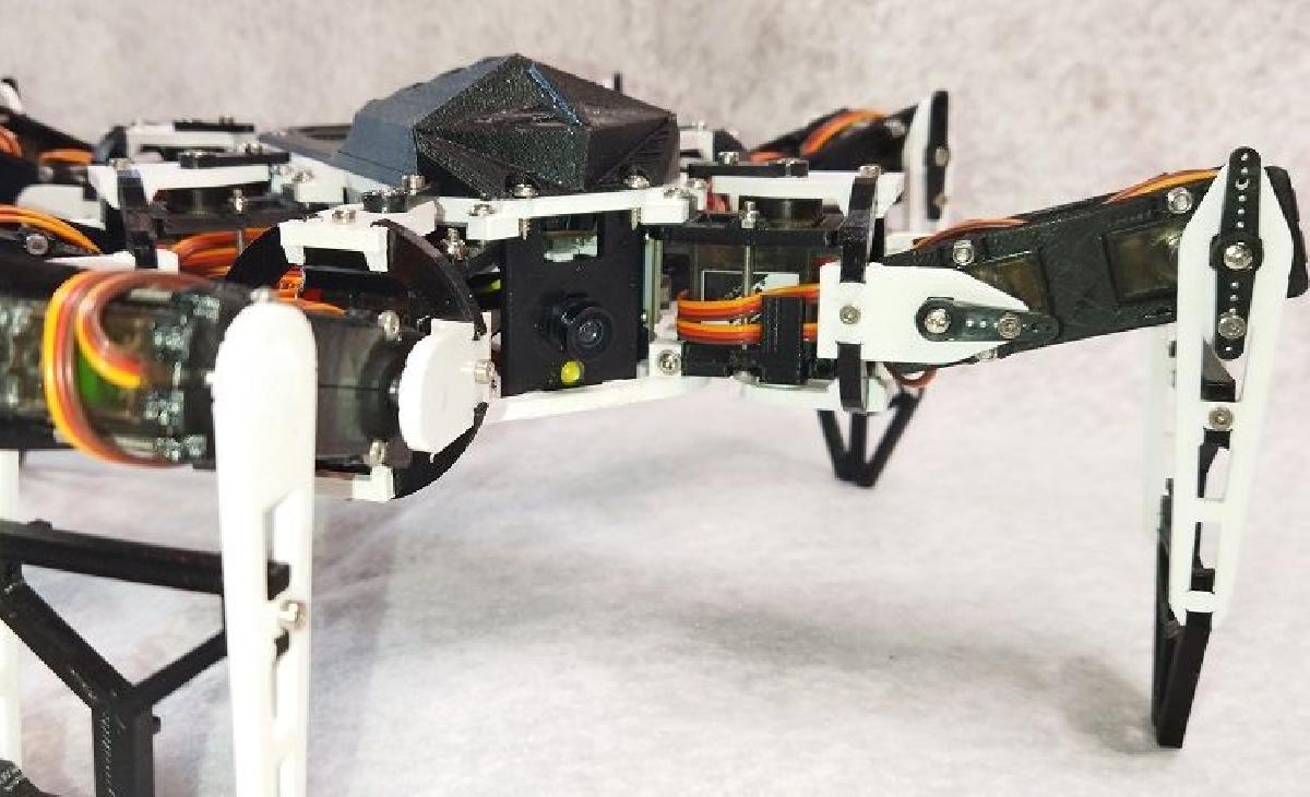 Robo Hexapode