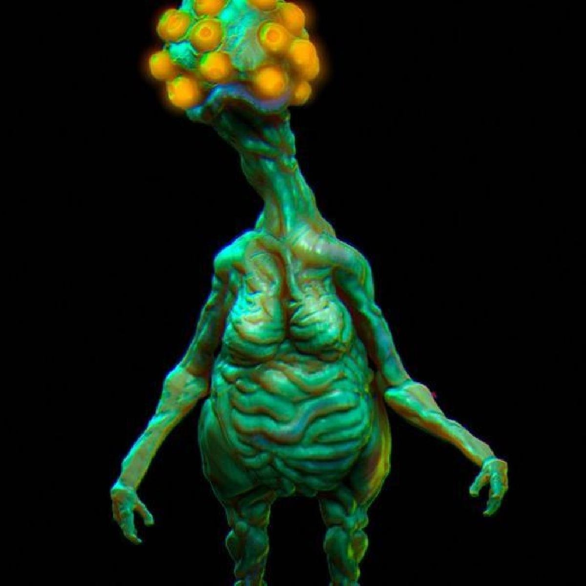 Anelideos: VERME FINK