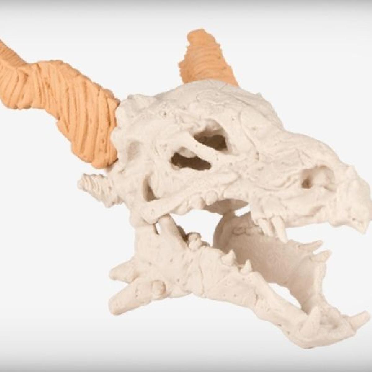 cranio de dragao