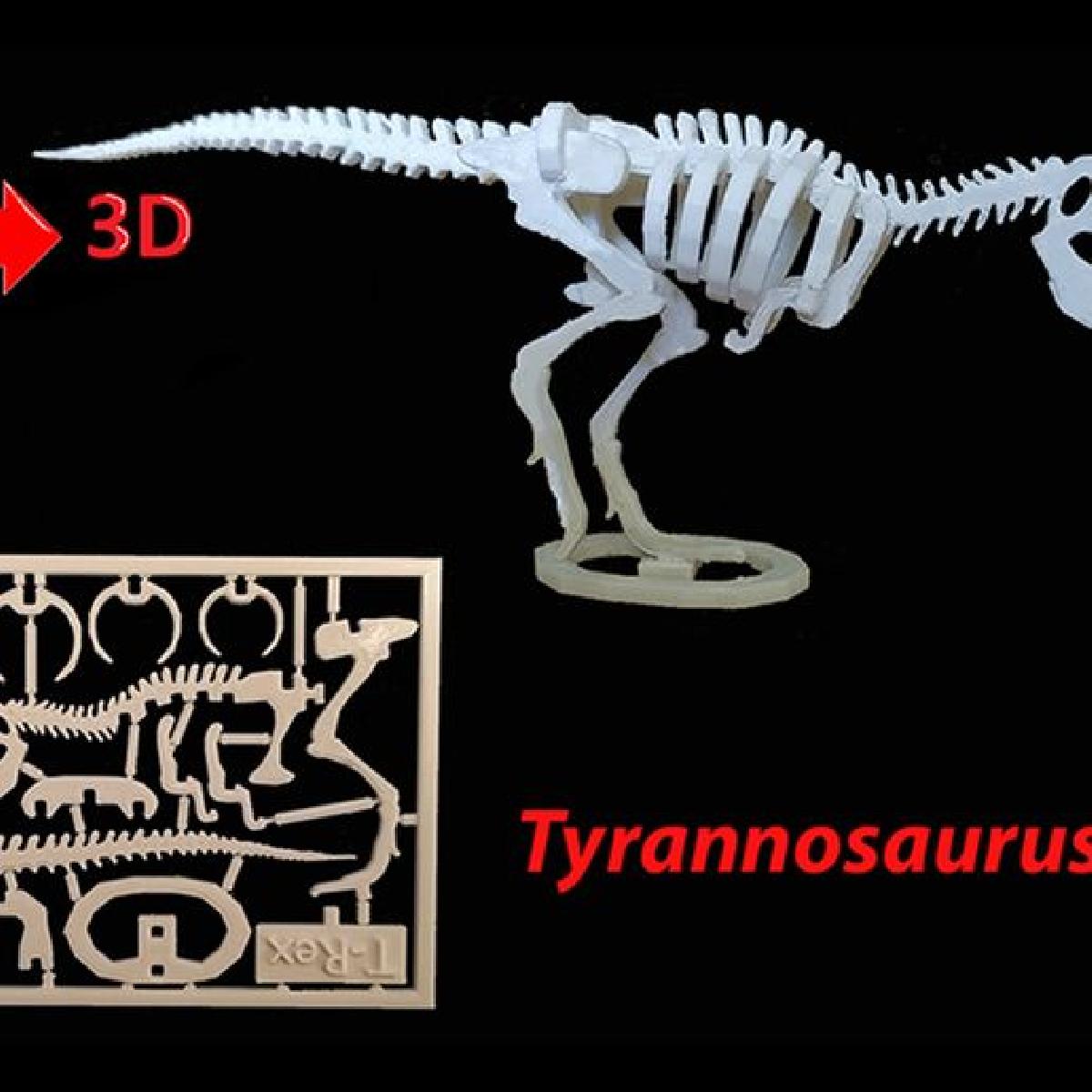 Cartao do Kit T Rex (Re upload)