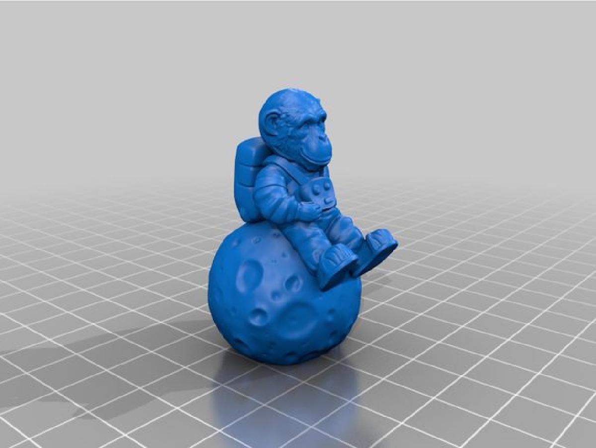 Macaco Astronauta