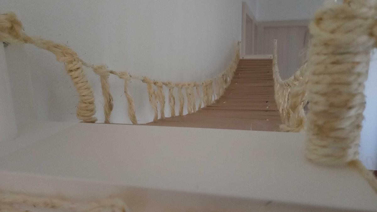 Ponte para gato