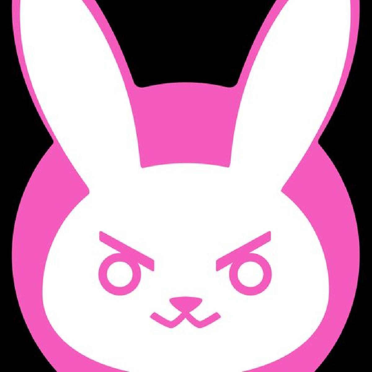 DVA overwatch: DVA do Overwatch