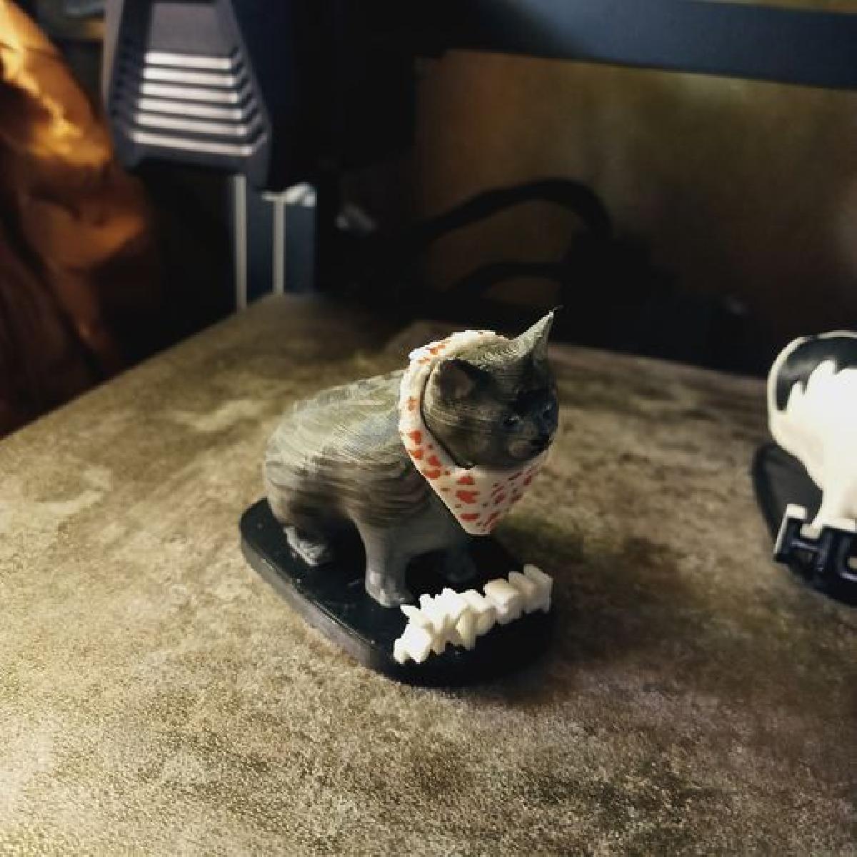 Meme do gato "kushats"/"mache".