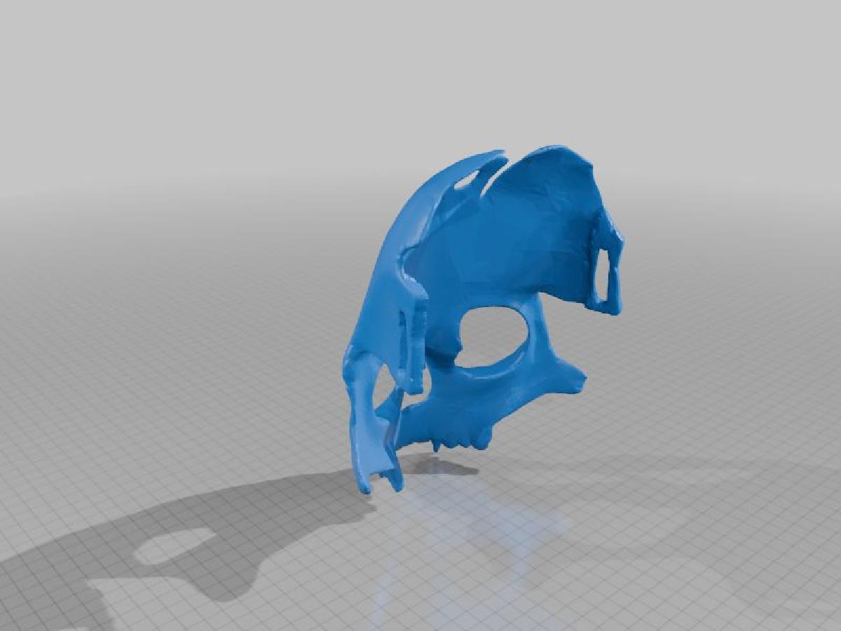 Mascara de cranio Tarkov Knight