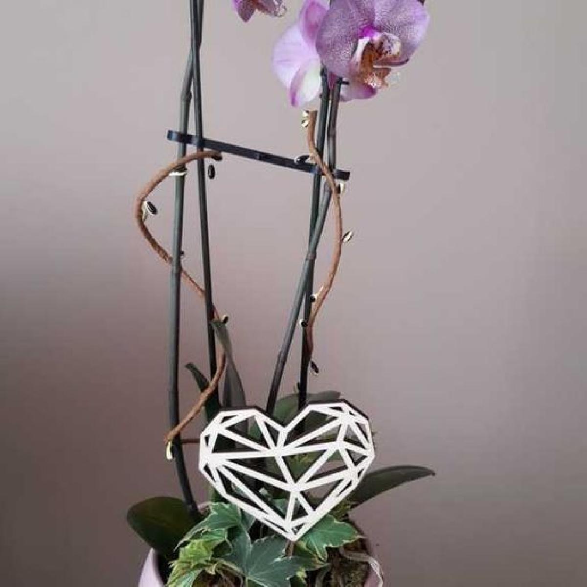 Decoracao de coracao geometrico