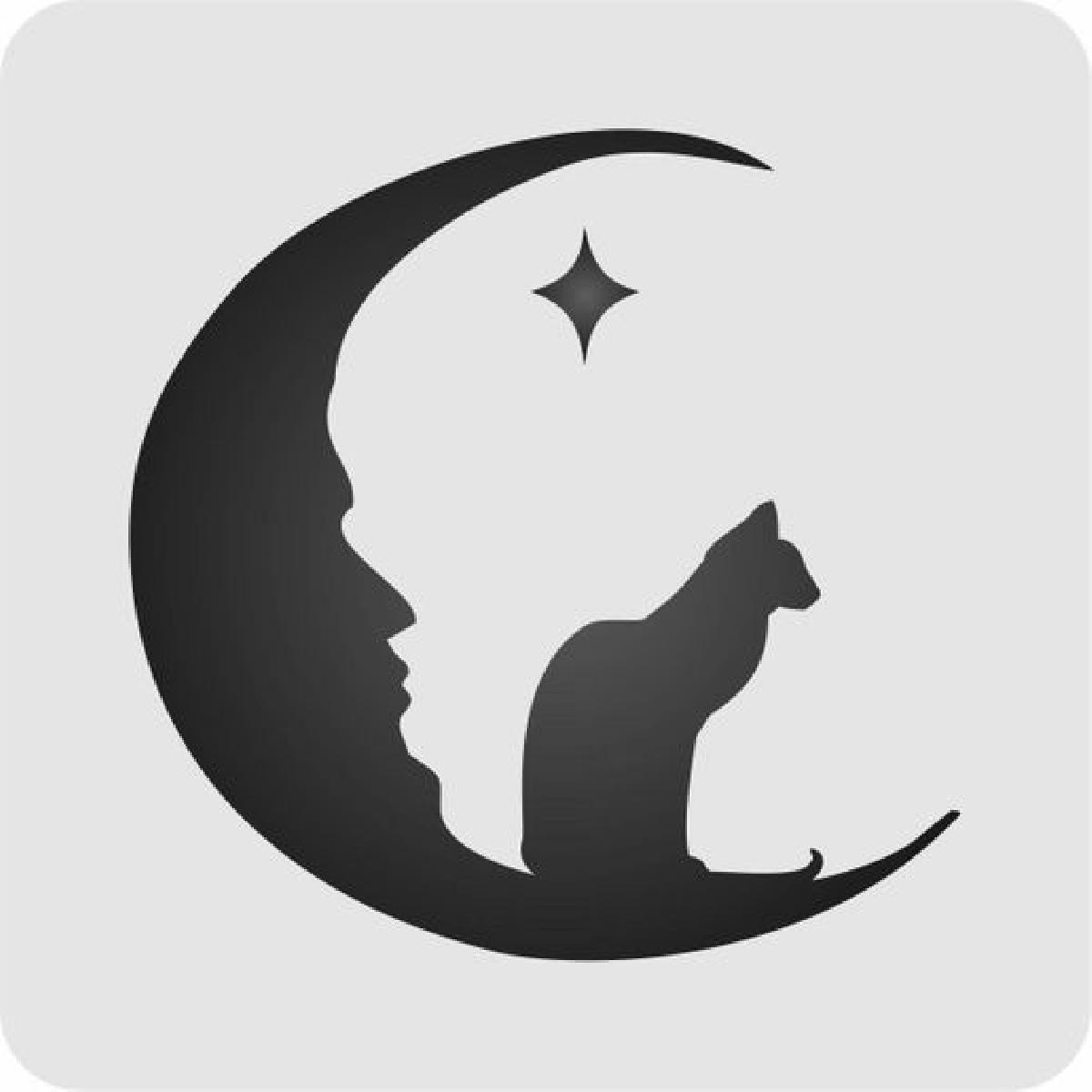 Lua e gato