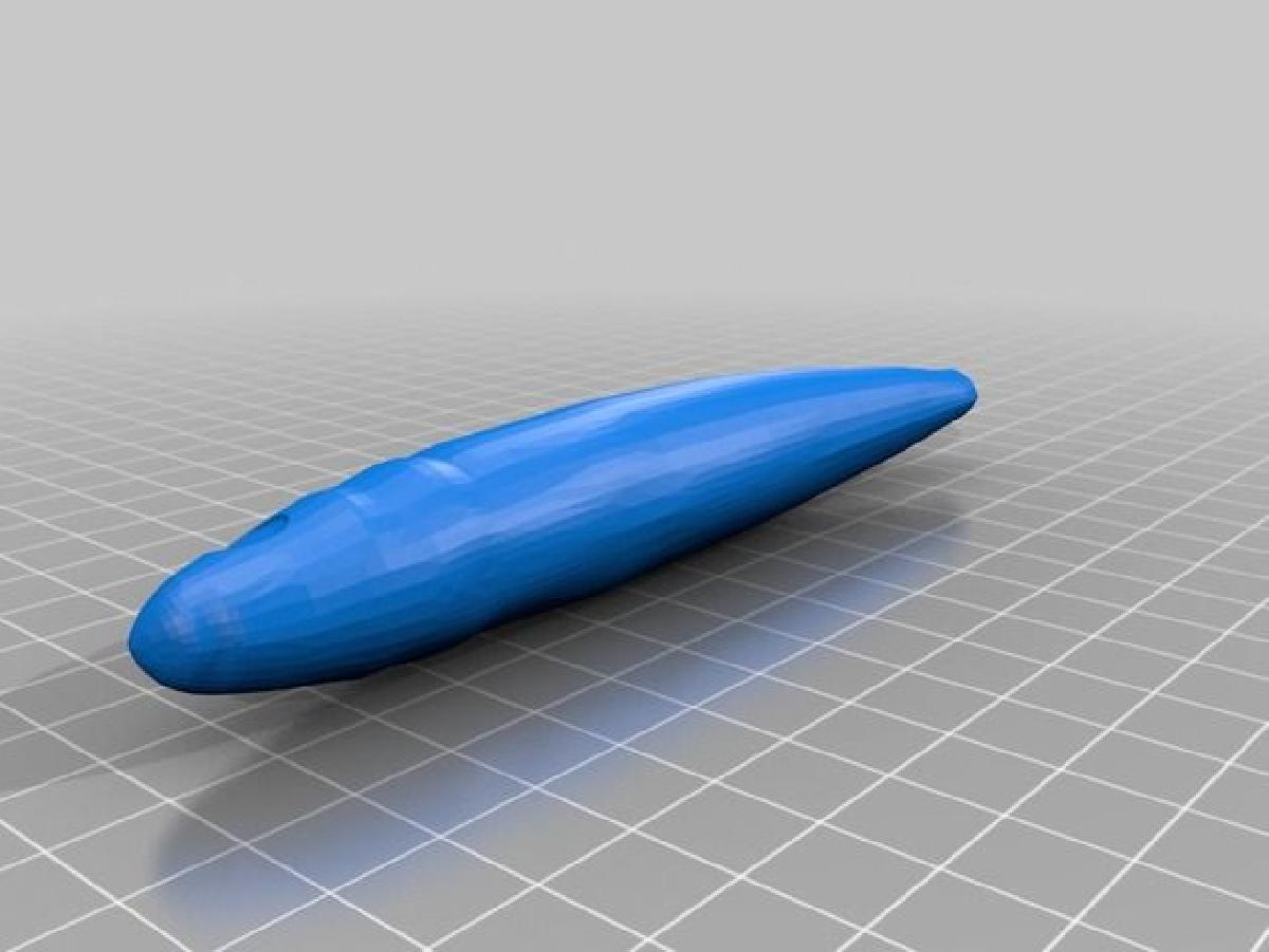 Bait Fishing / isca de pesca