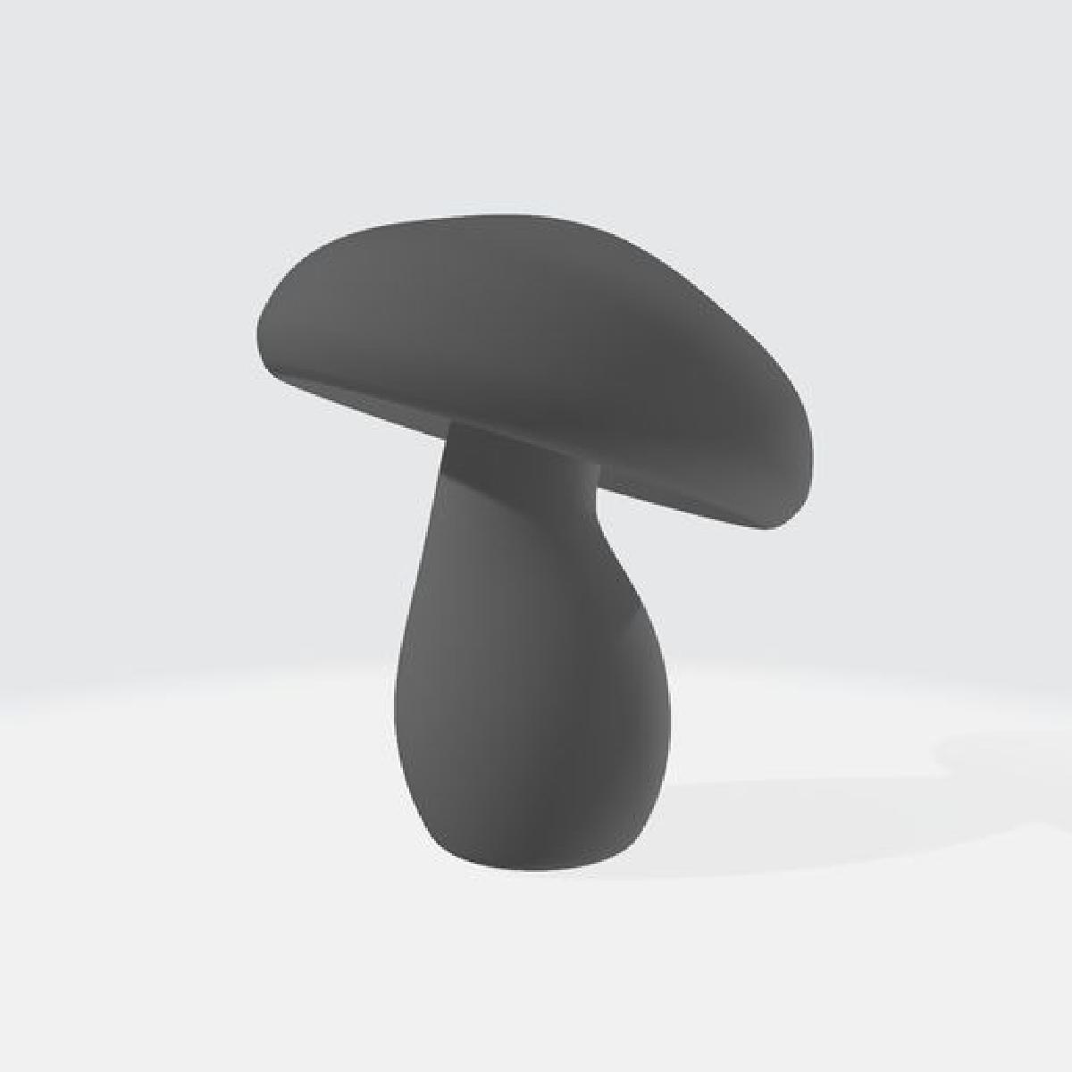 Cogumelo Magico 13