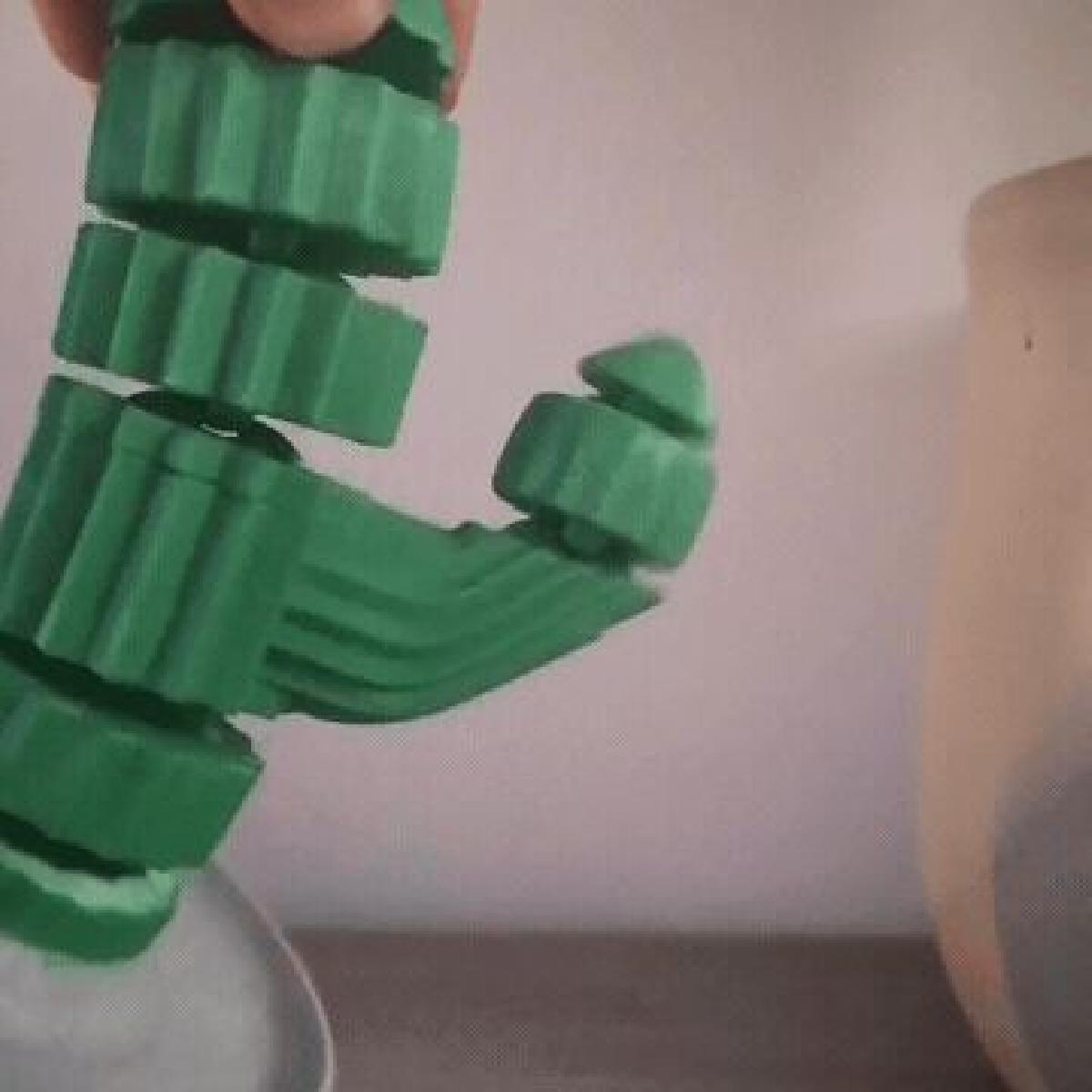 Cacto Flexivel