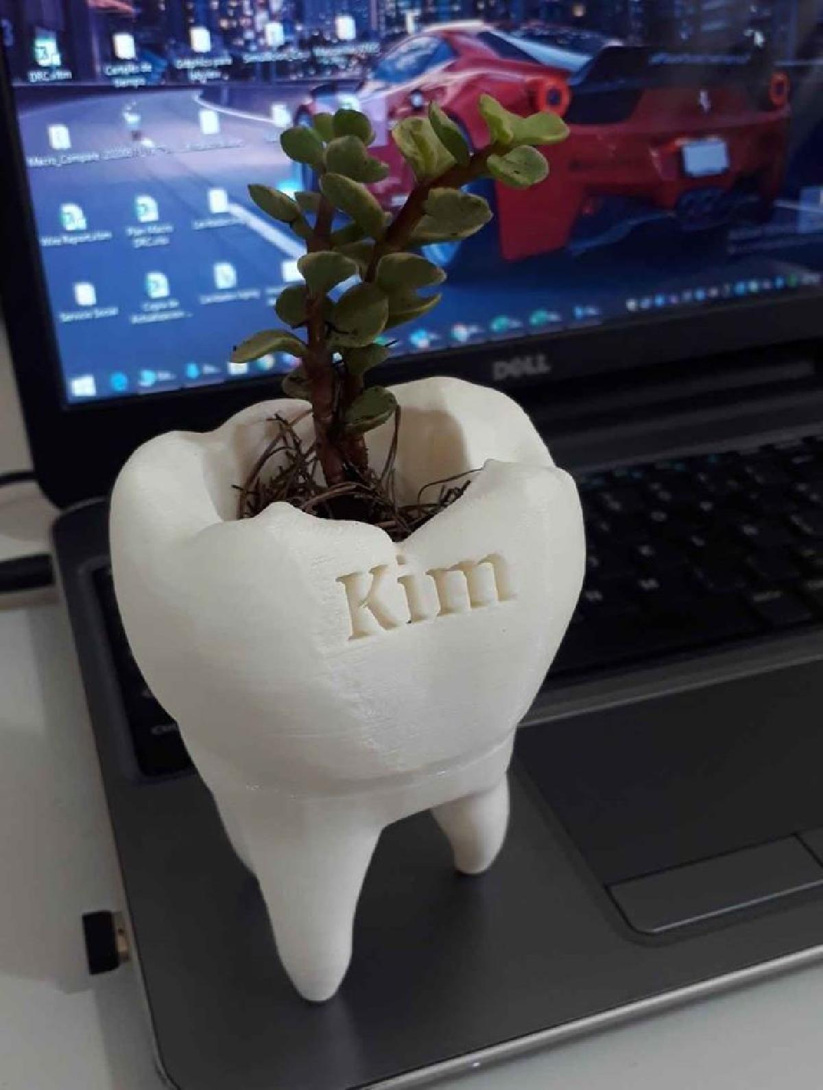 Maceta muela (Tooth pot) para personalizar.